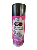 SC101 EGR and Intake Cleaner (On Vehicle)